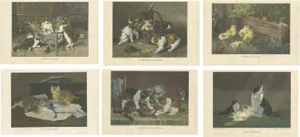 Cat Prints, 1898, Paper, Set of 6