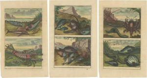 Various Fishes and Crustaceans, 1726, Paper, Set of 3