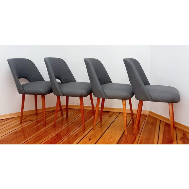 Czechoslovakian Dining Chairs attributed to O. Haerdtl for Ton, 1960s, Set of 4 For Sale - Image 6 of 18