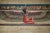 Large Egyptian Hand-Painted Papyrus of Winged Goddess Isis For Sale - Image 3 of 14
