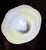 Mid 20th Century Art Nouveau Table Lamp For Sale - Image 5 of 12
