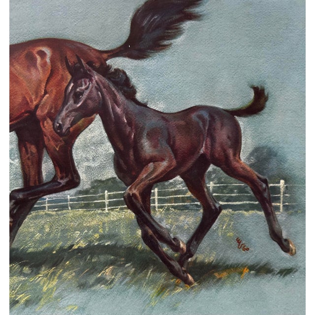 1960s Vintage 1961 Framed Print of a Horse Running With Colt For Sale - Image 5 of 8
