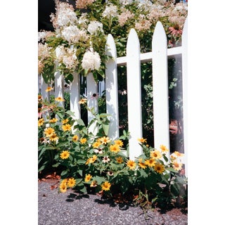 Contemporary Minimalist 'Fence and Flowers', Large 24 X 36" Fine Art Photography Print For Sale