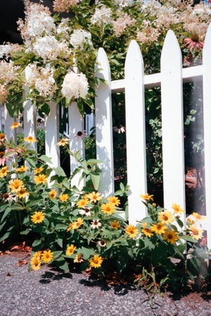 Contemporary Minimalist 'Fence and Flowers', Large 24 X 36" Fine Art Photography Print