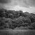 Paul Cooklin, Woodland, Tarr Steps, Exmoor, Edition of 50 For Sale - Image 6 of 6
