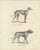 Paper Greyhound and English Mastiff in Detail, 1836, Lithograph For Sale - Image 7 of 11