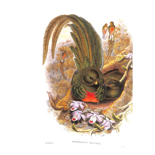 Paper "Fine Bird Books 1700-1900" 1990 Sitwell, Sacheverell For Sale - Image 7 of 10