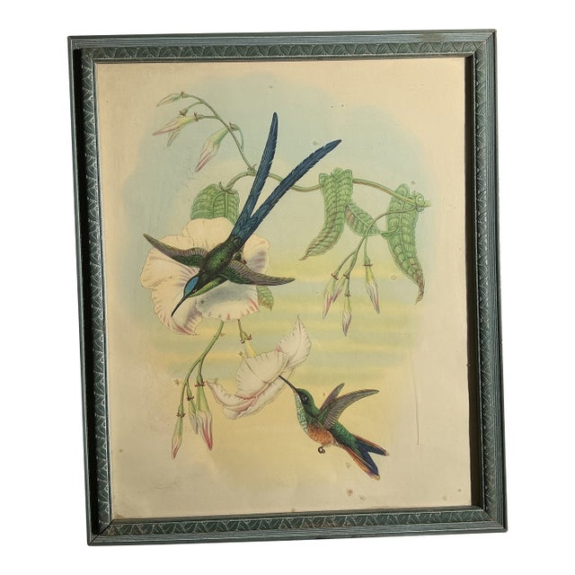 Framed Vintage Ibf Co. Hummingbird Lithograph, Hollywood Picture Frame Co., Mid-Century Botanical Fine Art For Sale