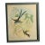 Framed Vintage Ibf Co. Hummingbird Lithograph, Hollywood Picture Frame Co., Mid-Century Botanical Fine Art For Sale