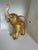 I purchased this in Venice in 1980. Venetian Glass Elephant with Gold Flecks throughout.