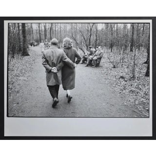 Early Spring in Cologne City Forest, Germany, 1954 For Sale