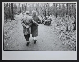 Early Spring in Cologne City Forest, Germany, 1954