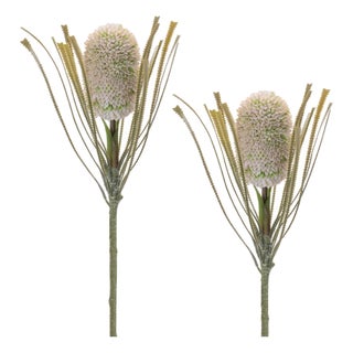 Protea Floral Stem (Set of 2) For Sale