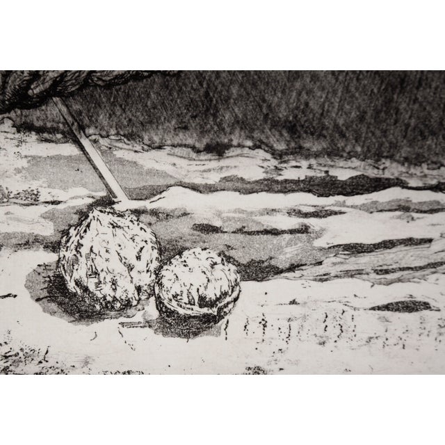 Contemporary "Ii Walnuts" - Intaglio Print by Tomoya Uchida For Sale - Image 3 of 8