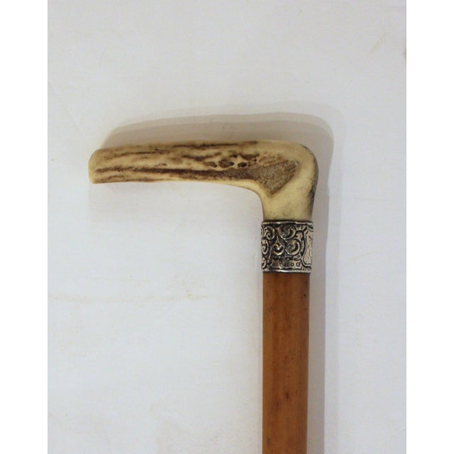 1876 English Malacca, Sterling, & Antler Walking Stick For Sale - Image 4 of 6