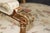 Pair 19th C. French Louis XVI Style Carved Giltwood Armchairs For Sale - Image 15 of 18