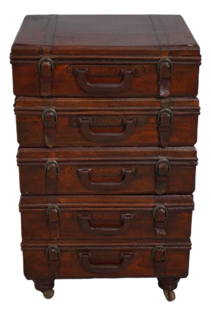 Leather Surface 5 Drawer Luggage Chest