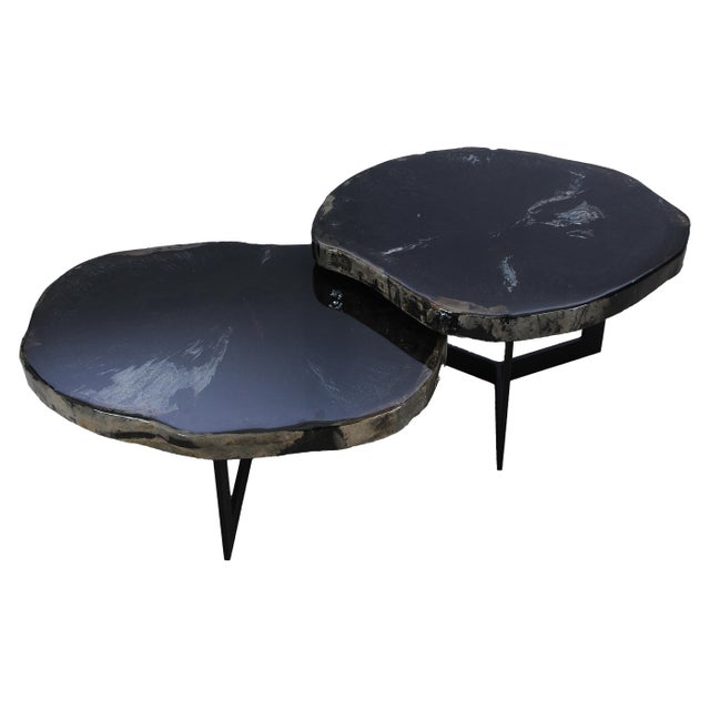Contemporary Black Epoxy Covered Petrified Wood Coffee Tables by Xyleia Petrified Wood, Set of 2 For Sale - Image 3 of 12