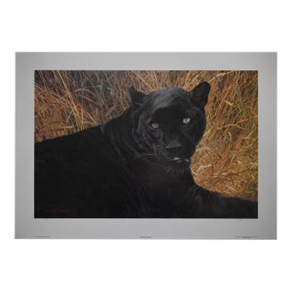 Carl Brenders "Black Sphinx" Signed Limited Edition Lithograph 278/950, Mill Pond Press, 1993 For Sale