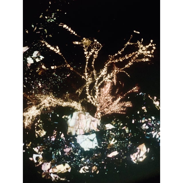 1960’s ‘Seascape’ Coral Reef Classic Vintage Mid-Century Couroc of Monterey Serving, Bar Tray For Sale - Image 10 of 11