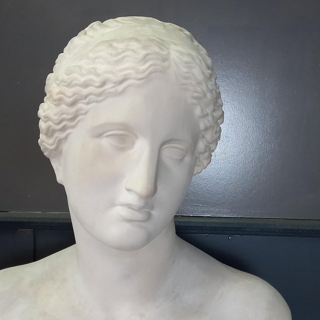 Large Nude Bust of Venus, 1950s For Sale - Image 4 of 15
