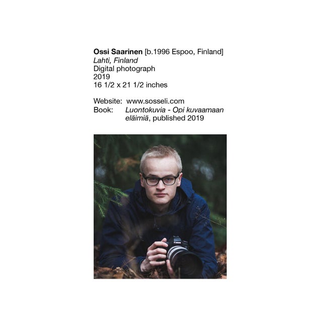 Modern Ossi Saarinen, Lahti, Finland, 2019, Photograph For Sale - Image 3 of 3