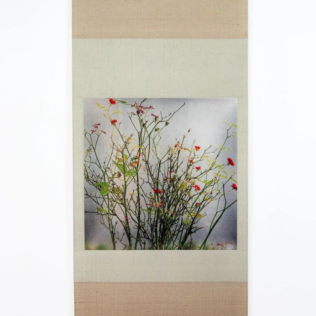 Kensho 2349, 2019 For Sale - Image 3 of 4