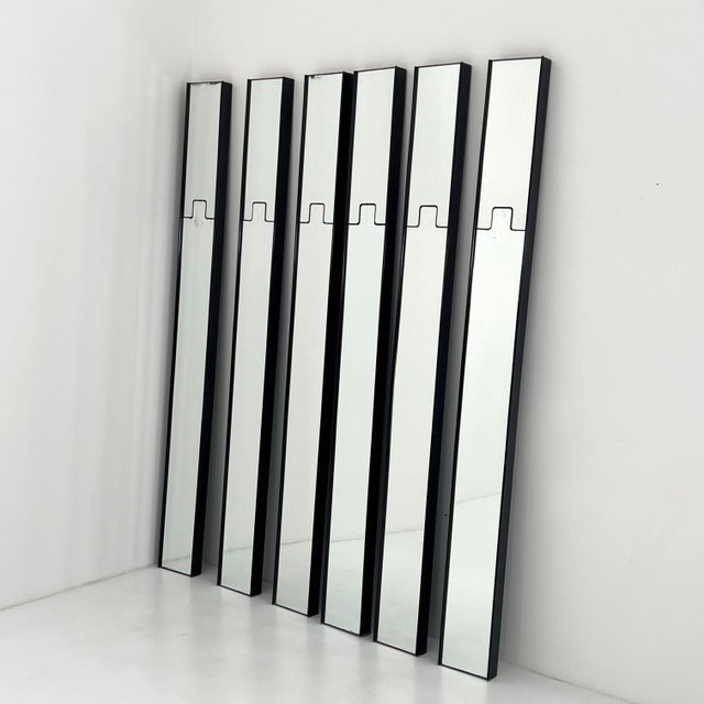 Mirrors with Coat Racks and Light by Luciano Bertoncini for Elco, 1970s, Set of 6 For Sale - Image 9 of 11