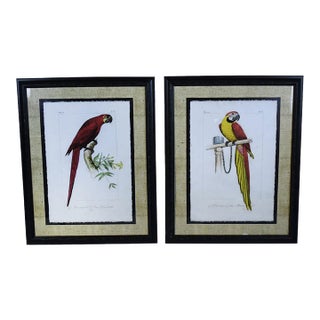 Late 20th Century Pair of Vintage Macaw Art For Sale
