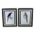Late 20th Century Pair of Vintage Macaw Art For Sale