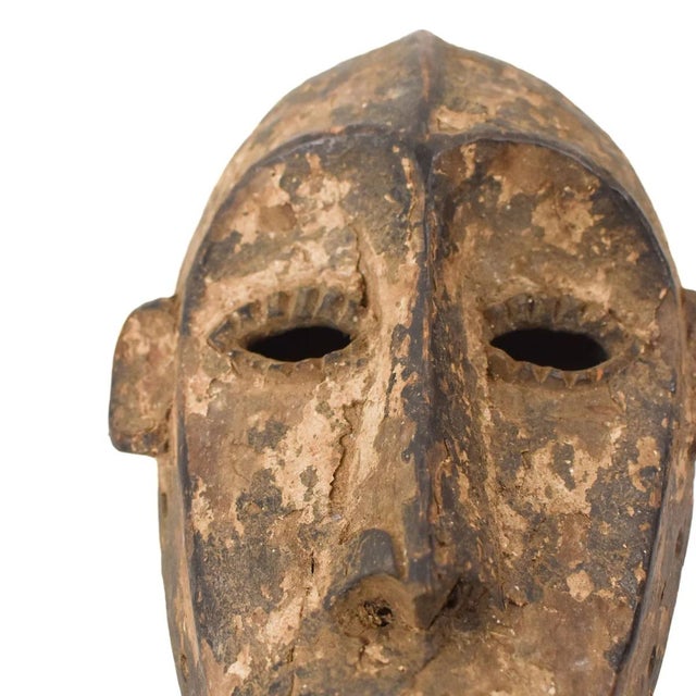 The Lega, also known as Warega, reside along the Lualaba River near Lake Tanganyika in the DRC, governing themselves...