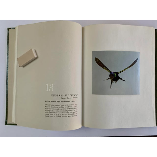 1960s Hummingbirds, Crawford. H Greenewalt, Limited Edition, Signed Book For Sale - Image 4 of 6