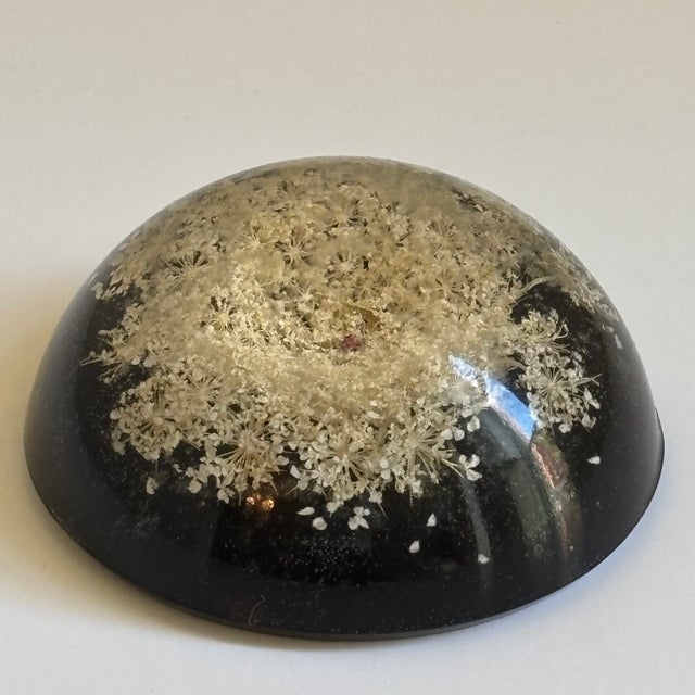 Mid-20th Century Signed William Rolfe Botanical Resin Paperweight For Sale - Image 10 of 15
