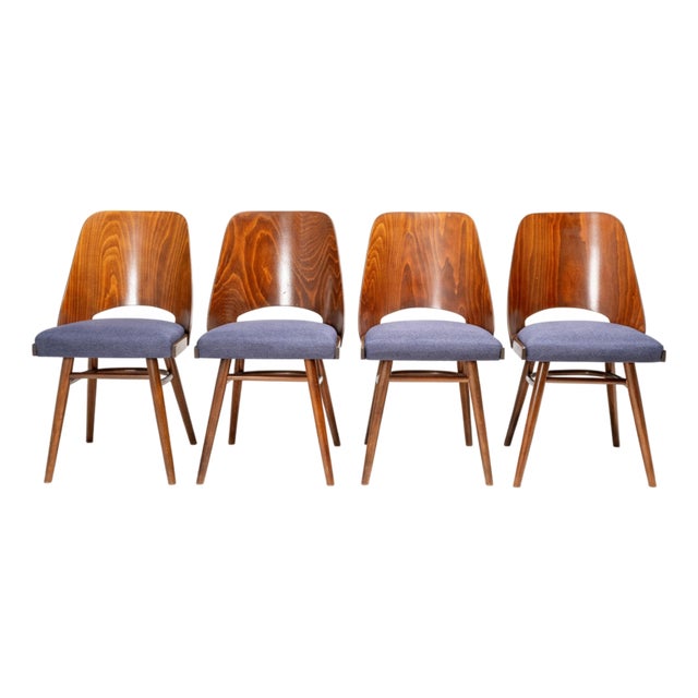 514 Chairs attributed to Oswald Haerdtl for TON, Czechoslovakia, 1950s, Set of 4 For Sale