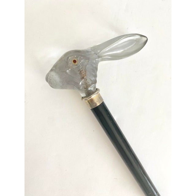 English English Rabbit Head Walking Stick Cane For Sale - Image 3 of 7