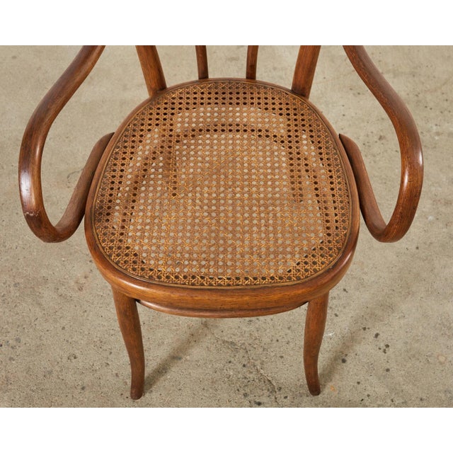 Wood Set of Ten 19th Century J and J Kohn Bentwood Cane Armchairs For Sale - Image 7 of 12