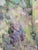 Contemporary Barbara Schauß, Blooming, Oil on Canvas For Sale - Image 3 of 7