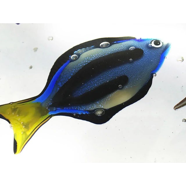 Cristiano Onesto, Sculpture aquarium terrestre, 2005, Murano Glass For Sale - Image 7 of 8