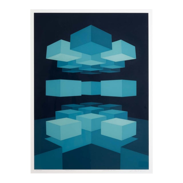 Brian Halsey Macron Serigraph 4/75 State I/Ii Signed & Framed For Sale