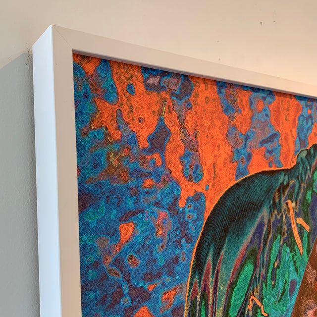 Wood "On a Journey" Contemporary Original Expressionist Photograph Print by Rob Brinson, Framed For Sale - Image 7 of 12