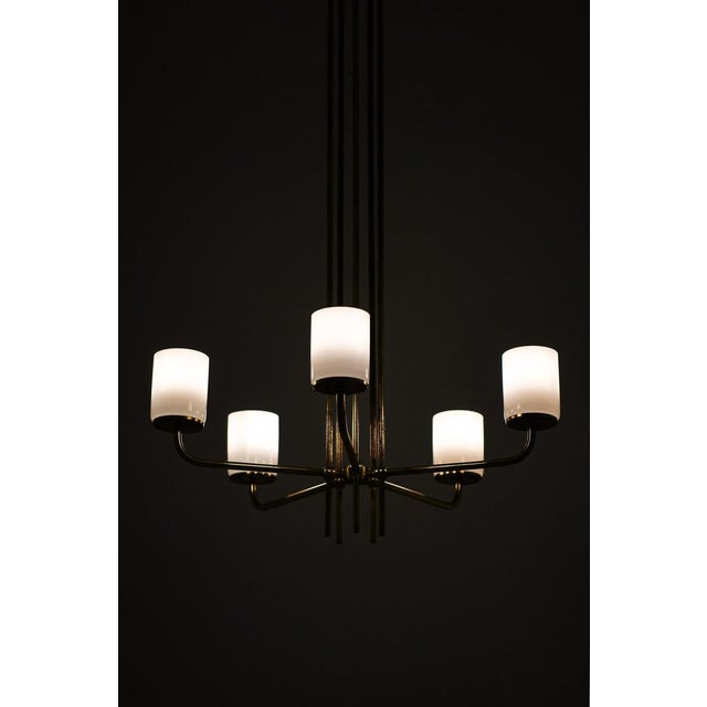 Ceiling lamp in brass and opaline glass in the manner of paavo tynell, 1950's additional information: material: brass and...