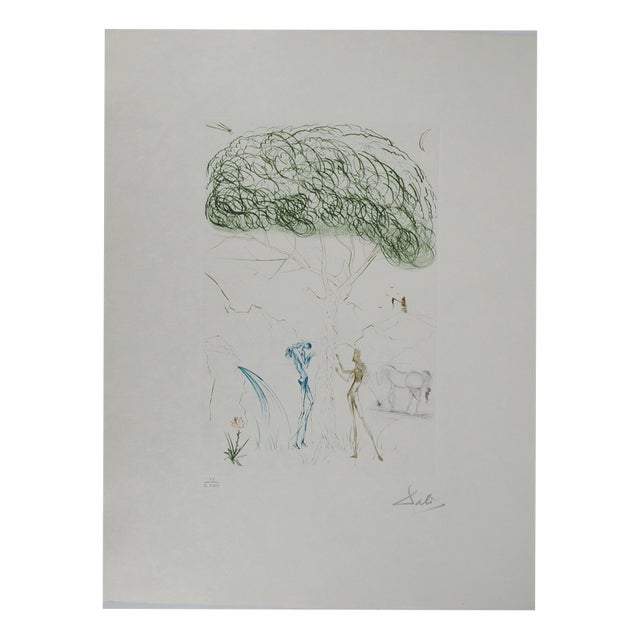 Salvador Dali, Nude, Under the Umbrella Pine, 1970, Engraving For Sale