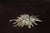 Edelweiss Flower Brooch, 1990s For Sale - Image 4 of 7