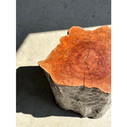 Brown Set of Lychee Stools Forming a Coffee Table For Sale - Image 8 of 18