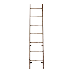 Antique Picking Ladder