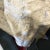 Carved Marble Recycling Male Figure Sculpture For Sale - Image 10 of 13