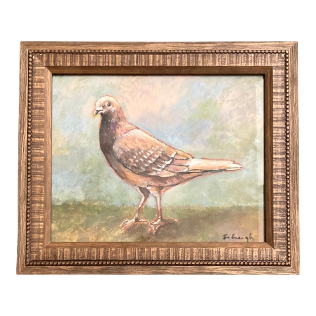 Contemporary Original Stephen Heigh “Brown Pigeon “ Painting Framed For Sale