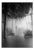 Paul Cooklin, Girl, Mist Spray, Paris, Edition of 50 For Sale