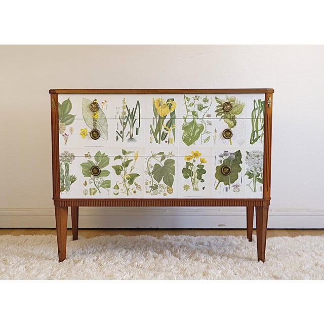 Brown Gustavian Chest attributed to Josef Frank from CAM Lindman Nordens Flora, Sweden, 1940s For Sale - Image 8 of 8