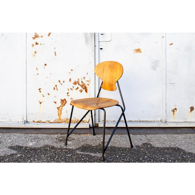 Mid-Century Modern Chairs by Aurelio Villari for Isa Bergamo, 1950s, Set of 4 For Sale - Image 3 of 10